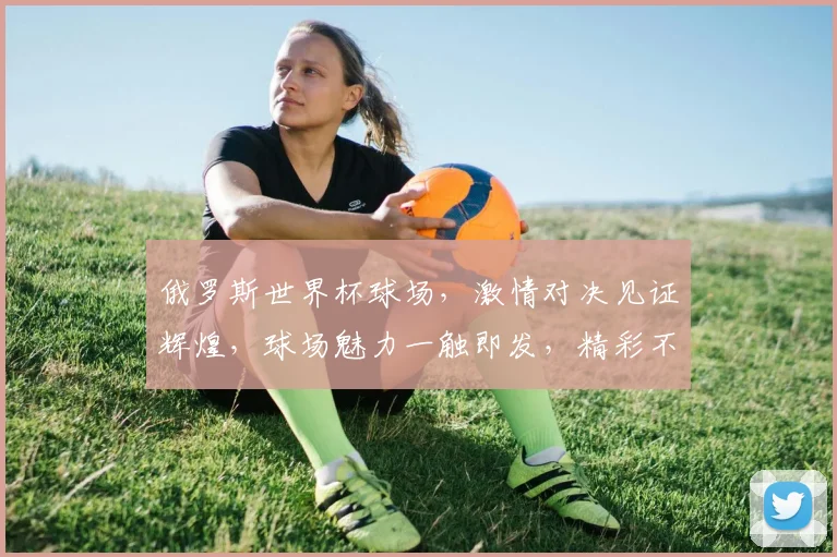 俄罗斯世界杯球场，激情对决见证辉煌，球场魅力一触即发，精彩不容错过