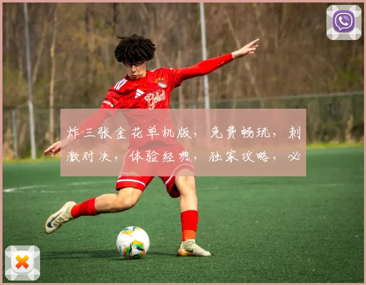炸三张金花单机版，免费畅玩，刺激对决，体验经典，独家攻略，必赢之道