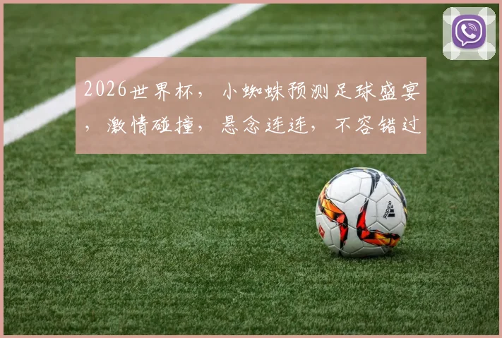 2026世界杯，小蜘蛛预测足球盛宴，激情碰撞，悬念连连，不容错过