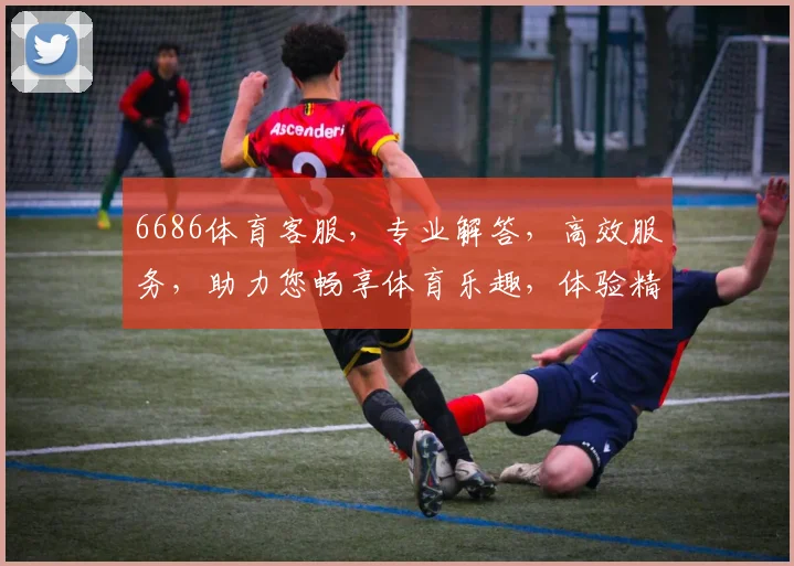 6686体育客服，专业解答，高效服务，助力您畅享体育乐趣，体验精彩赛事