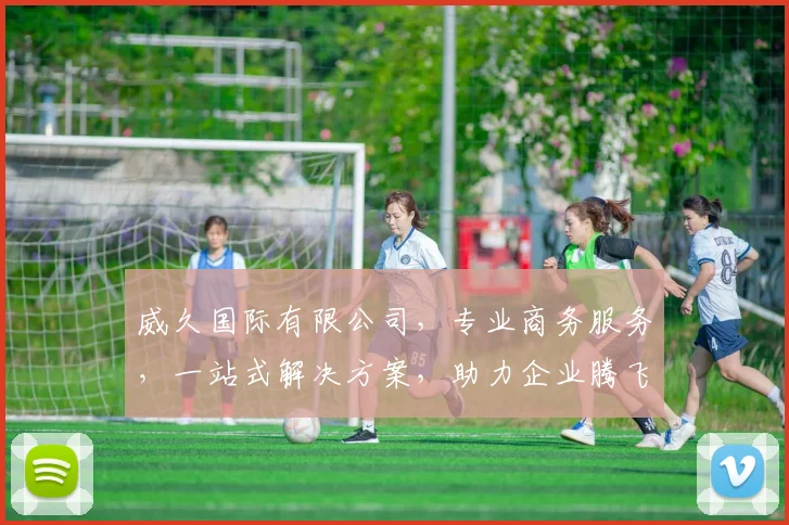 威久国际有限公司，专业商务服务，一站式解决方案，助力企业腾飞，共赢未来