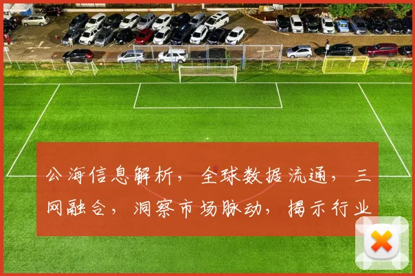 公海信息解析，全球数据流通，三网融合，洞察市场脉动，揭示行业奥秘
