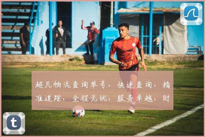 超凡物流查询单号，快速查询，精准追踪，全程无忧，服务卓越，时效保证，三步轻松搞定。