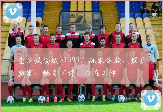 金沙娱场城31399，独家体验，娱乐盛宴，畅享不停，尽在其中